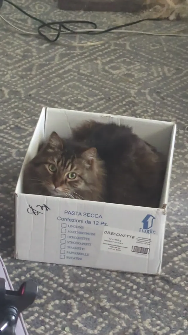 Simon: He loves his box